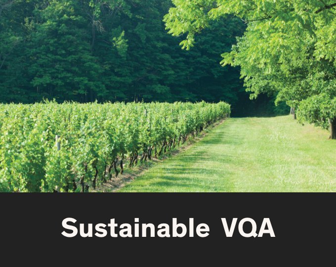 Sustainable VQA 