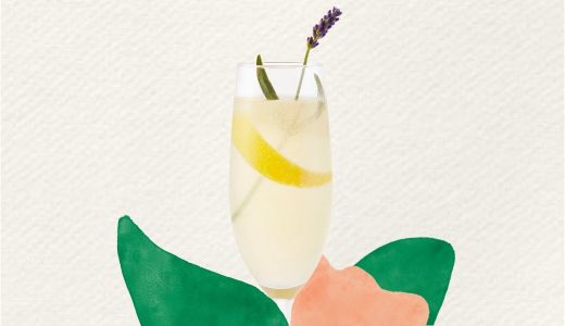 Cocktails d'été : idées de garnitures, Aperçu