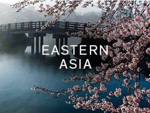 Explore products from Eastern Asia