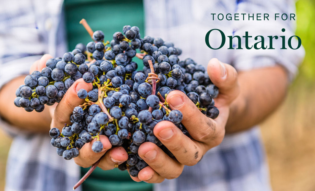 Together for Ontario