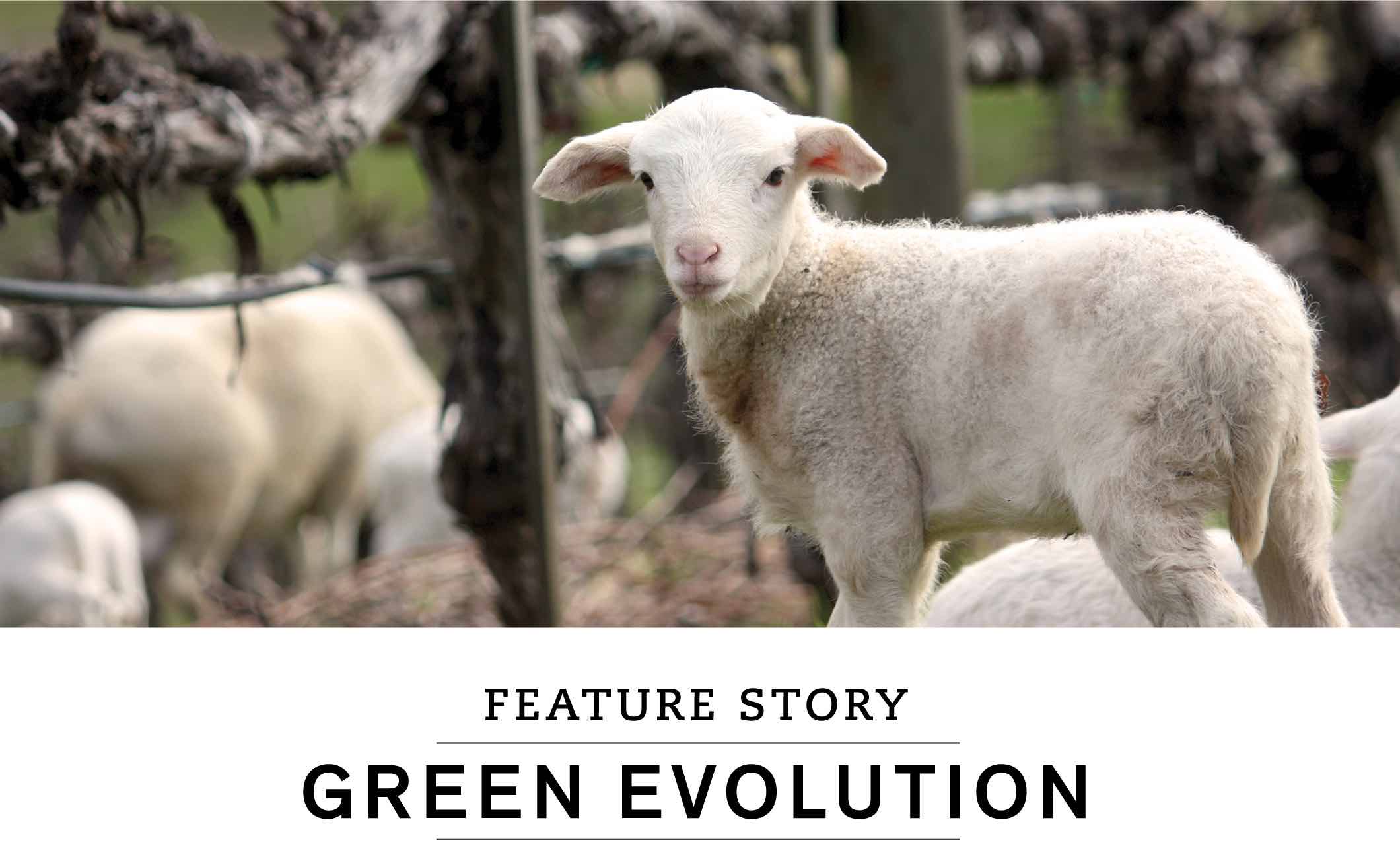 FEATURE STORY: GREEN EVOLUTION