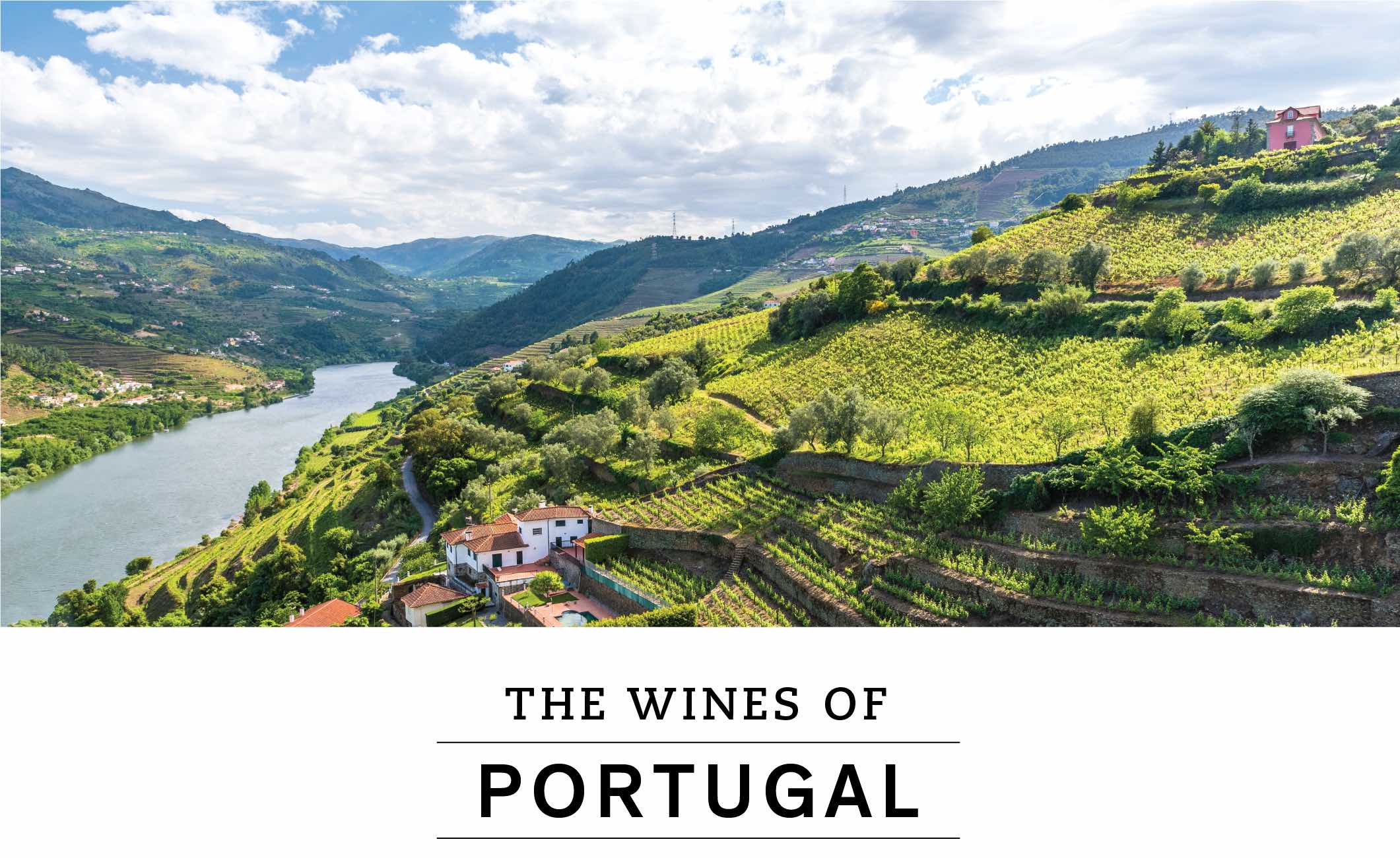 The Wines of Portugal