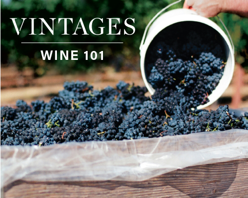 Learn With Vintages: Wine 101